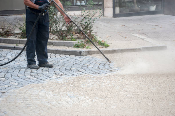 Best Building Exterior Washing  in University Park, MD